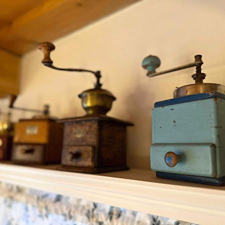 Villa Amalia, Centrum Banska Stiavnica, Parkovanie Pre 2 Auta, Velka Zahrada S Krbom, Cela Villa Amalia Pre 14 Osob Alebo Samostatne Nezavisle Prve Podlazie Villa Ama Pre 6 Osob Alebo Samostatne Nezavisle Podkrovie Villa Lia Pre 8 Osob,Pristup Cez Pi Buitenkant foto